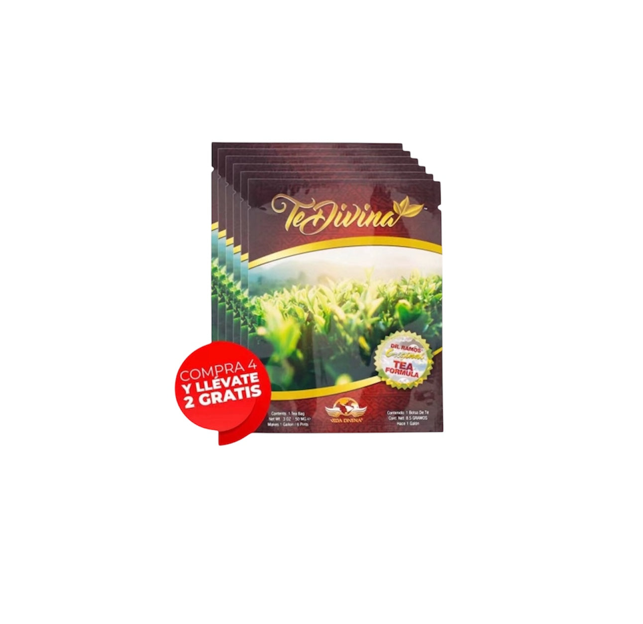 TE DIVINA VIDA DIVINA